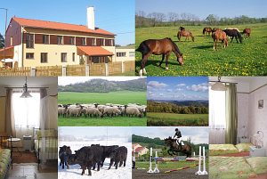 Ekofarma Natural Agro [Увеличить - новое окно]