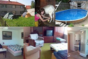 Ekologická farma Hvozd - chov ovcí a koz [Увеличить - новое окно]