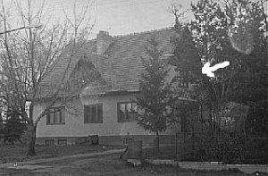 Klubovna Brontosaurus [Увеличить - новое окно]