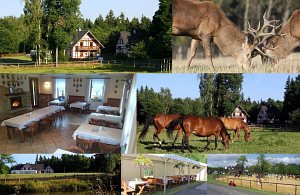 Ферма Hory [Увеличить - новое окно]