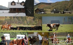 Ranch HP [Увеличить - новое окно]