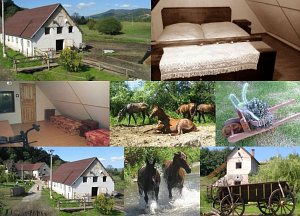 Ферма Maďov mlyn [Увеличить - новое окно]