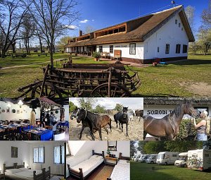 Ферма Somodi Tanya [Увеличить - новое окно]