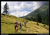 Černohorská polonina